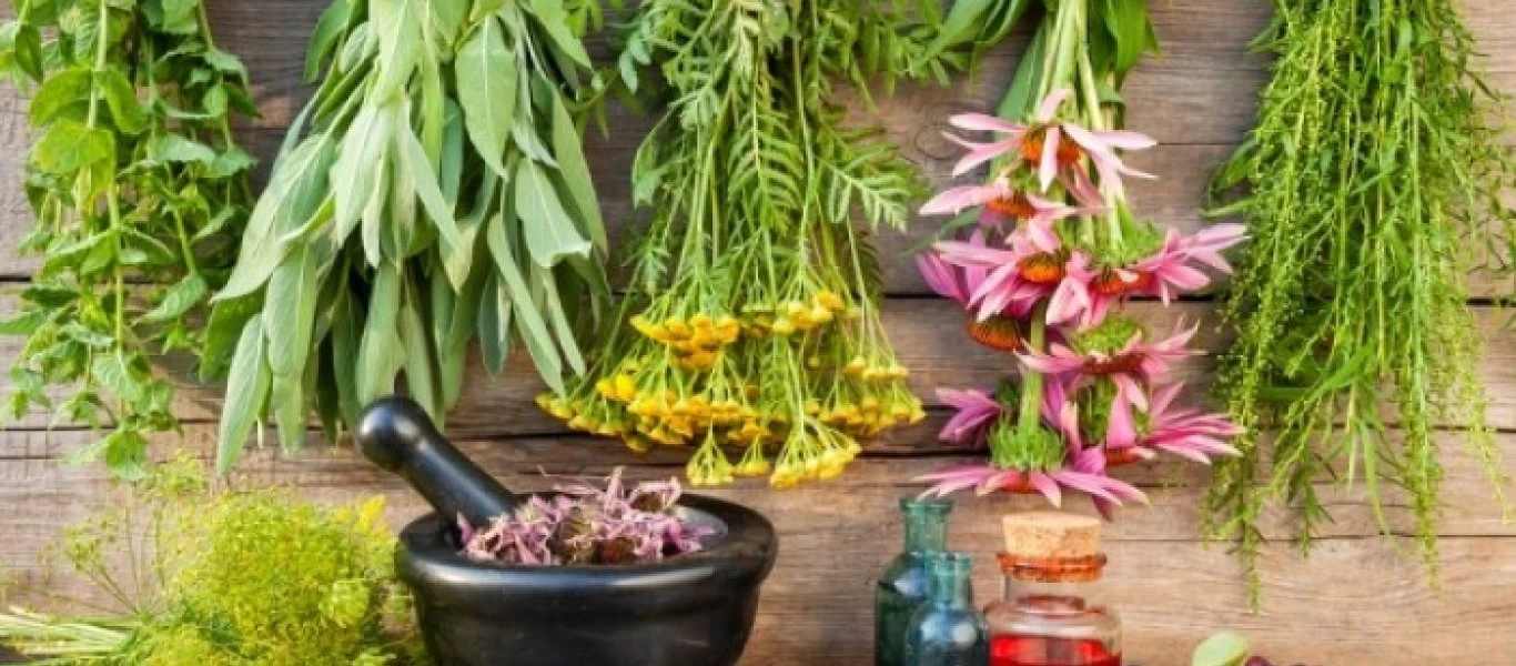 Αυτά είναι τα βότανα που καταπολεμούν τον διαβήτη πιο αποτελεσματικά